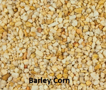 Barley Corn