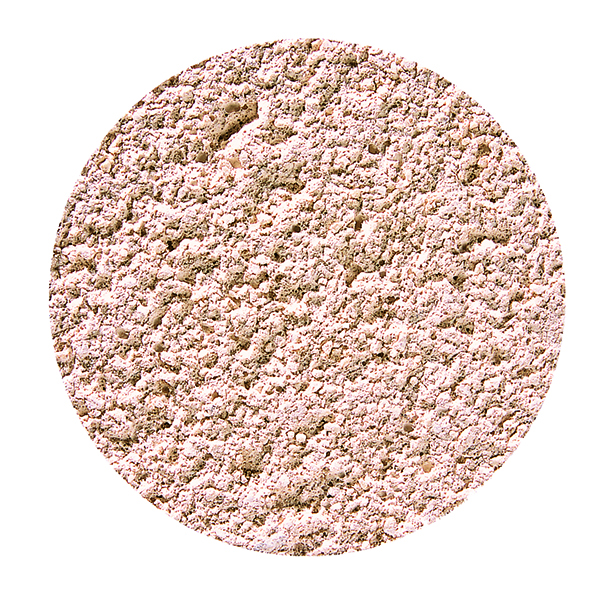 Cinnamon
